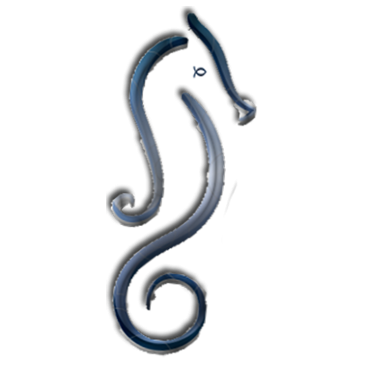 Selah Australian Labradoodles